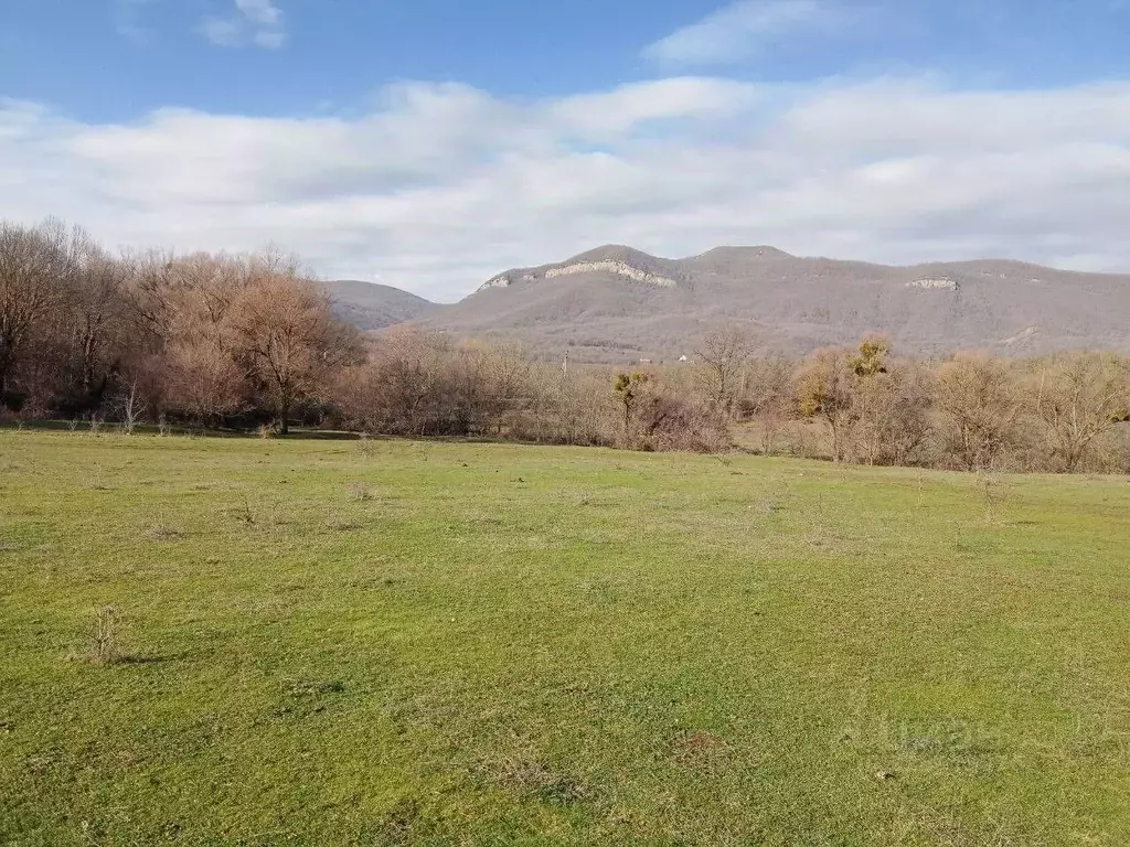 Участок в Крым, Бахчисарайский район, с. Зеленое  (208.0 сот.) - Фото 1