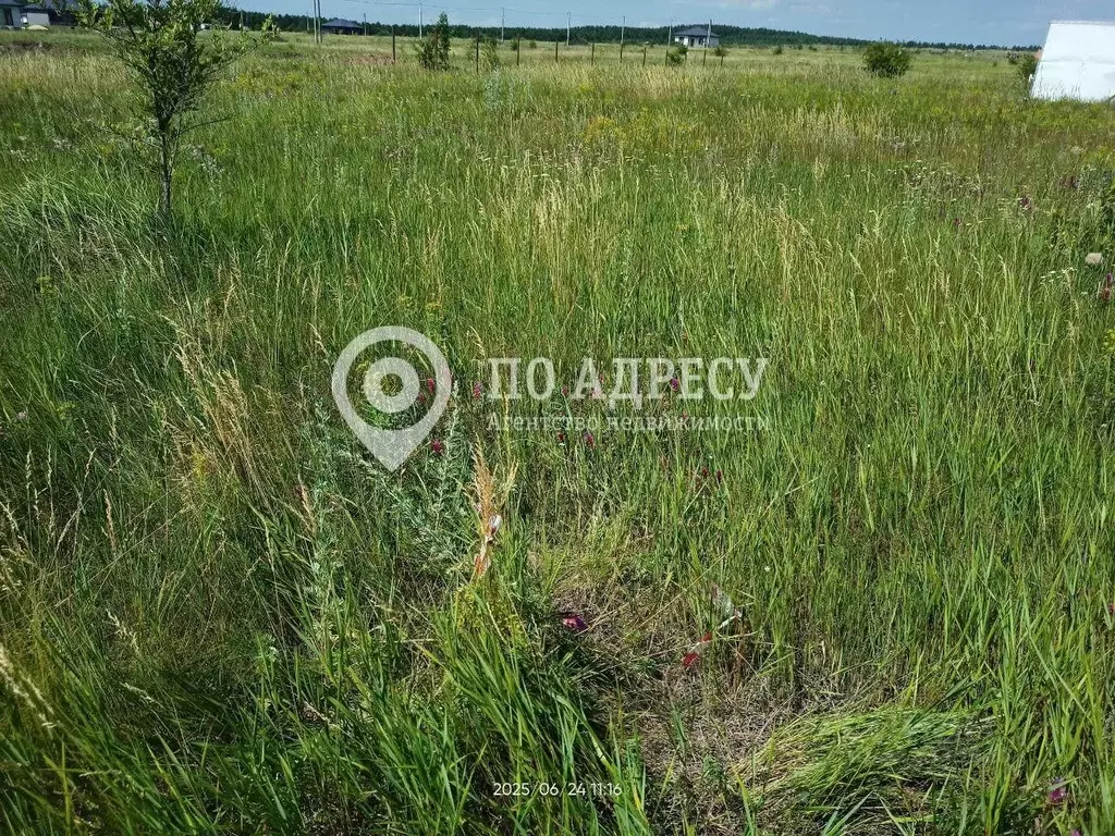 Участок в Саратовская область, Саратов Кумысная поляна СНТ,  (6.0 ... - Фото 1