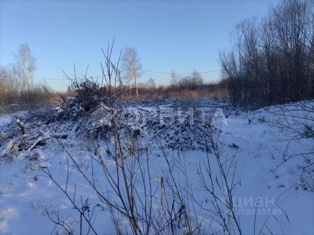 Участок в Тюменская область, Тюмень Садовое товарищество Липовый ... - Фото 2