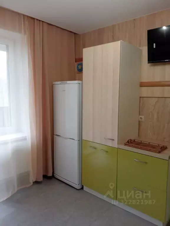 1-к кв. Московская область, Ногинск Богородский городской округ, ул. ... - Фото 2