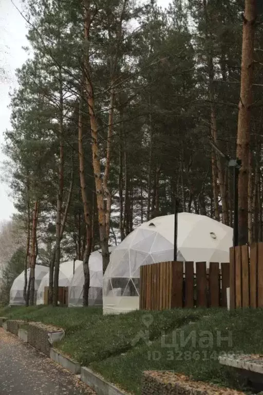 Дом в Белгородская область, Новооскольский муниципальный округ, с. ... - Фото 2