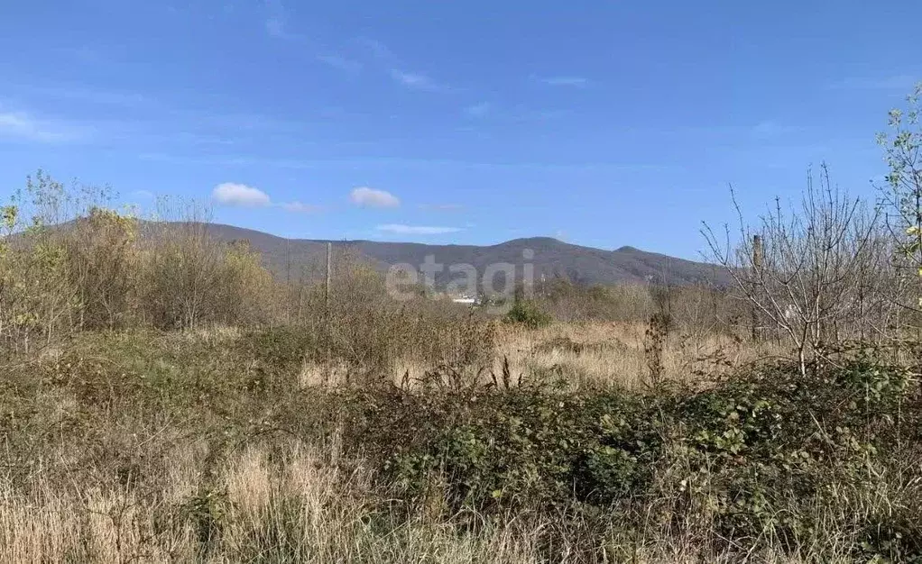 Участок в Краснодарский край, Новороссийск городской округ, ... - Фото 1