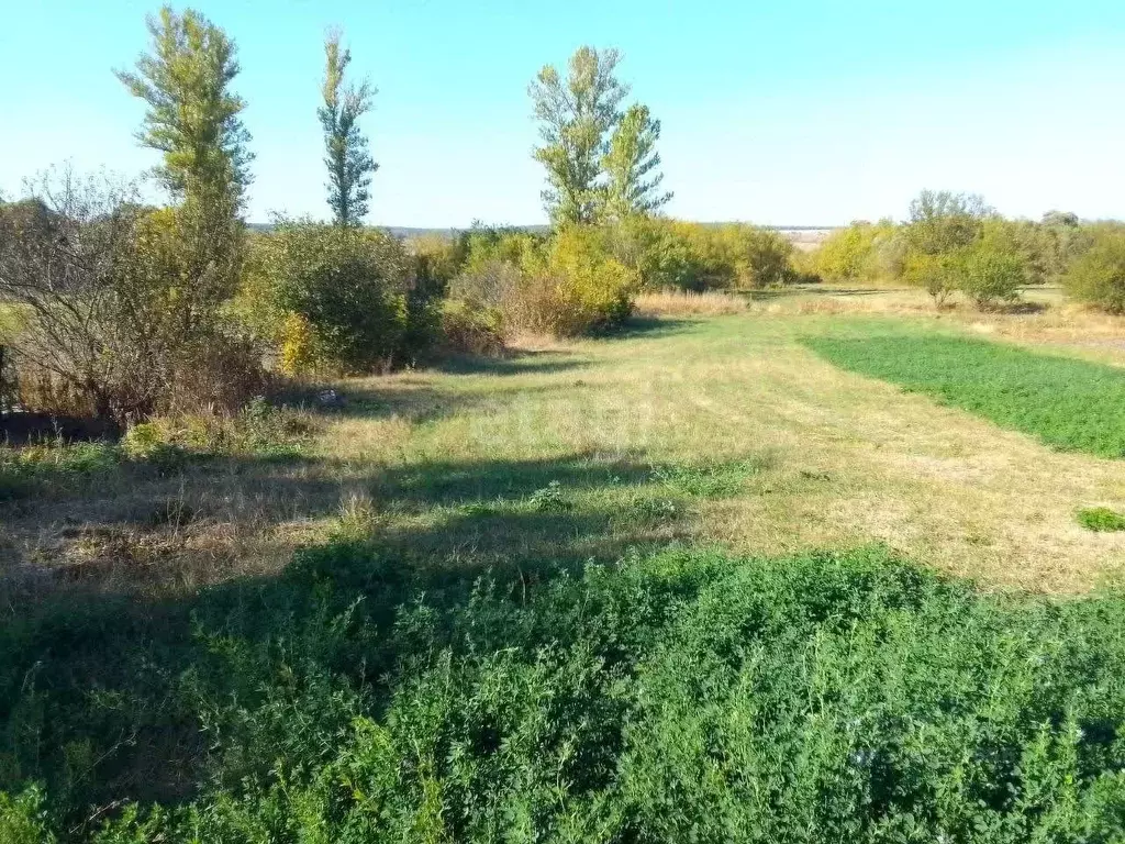 Участок в Белгородская область, Чернянский район, Русскохаланское ... - Фото 0