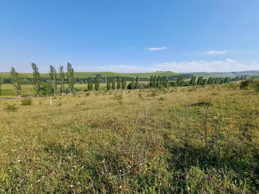 Участок в Ставропольский край, Кисловодск городской округ, пос. ... - Фото 2