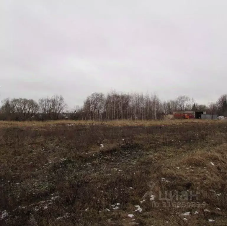 Участок в Московская область, Озеры Коломна городской округ, Луговая ... - Фото 1