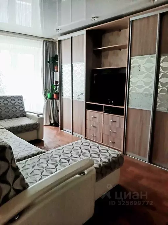 2-к кв. Еврейская автономная область, Биробиджан Ремонтный пер., 3 ... - Фото 1