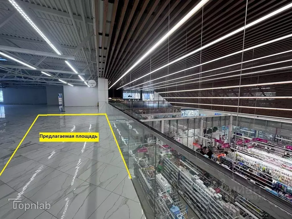 Помещение свободного назначения в Санкт-Петербург Дунайский просп., ... - Фото 1