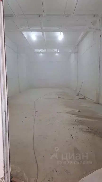 Торговая площадь в Пермский край, Пермь Соликамская ул., 329Б (100 м) - Фото 2