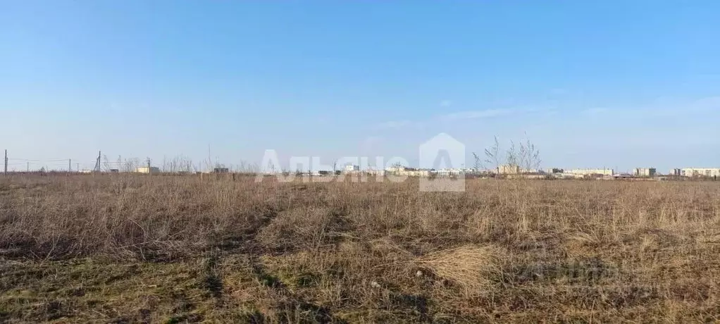 Участок в Ростовская область, Волгодонск ул. Орловская (6.0 сот.) - Фото 2