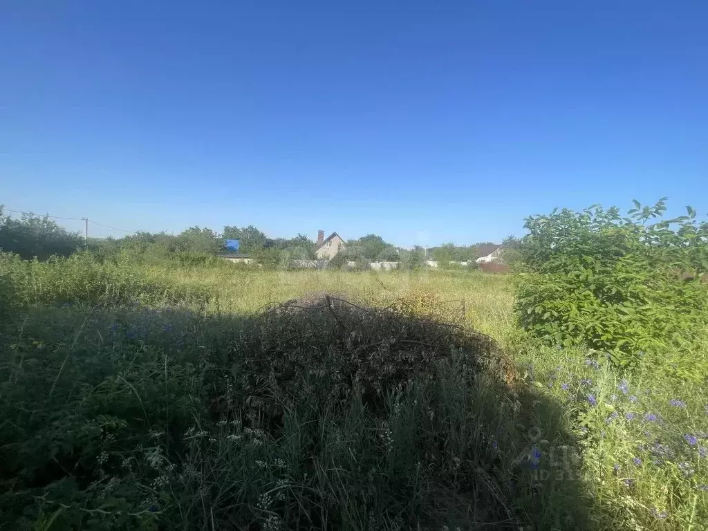 Участок в Белгородская область, Яковлевский муниципальный округ, ... - Фото 0