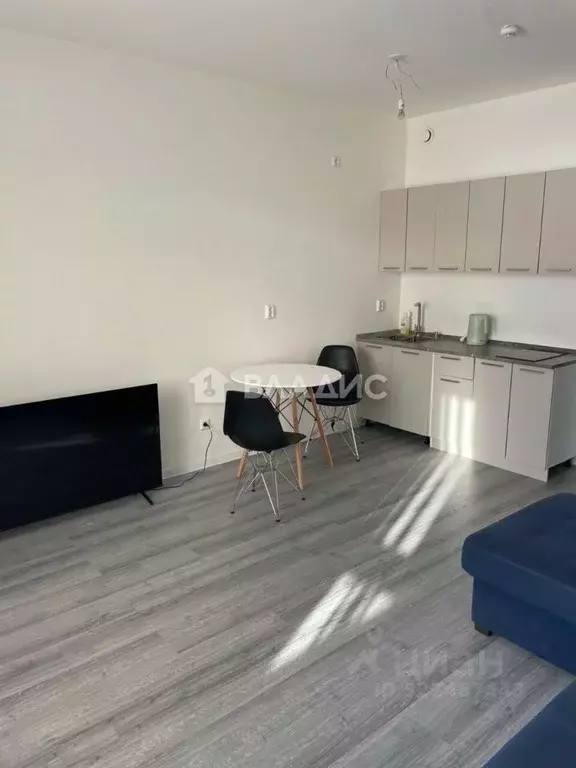 Студия Ленинградская область, Всеволожский район, пос. Бугры ул. ... - Фото 1