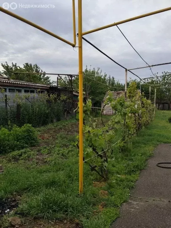 Дом в Ростовская область, Сальск (45 м) - Фото 1