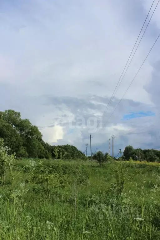 Участок в Калужская область, Юхновский район, Щелканово с/пос, с. ... - Фото 1