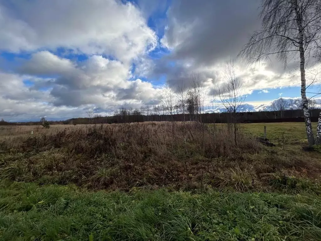 Участок в Московская область, Лотошино муниципальный округ, с. Егорье  ... - Фото 1