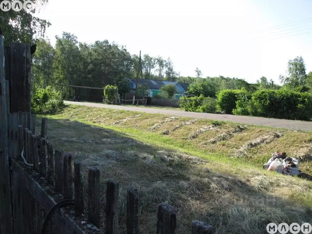 Барсуковка калининградская область
