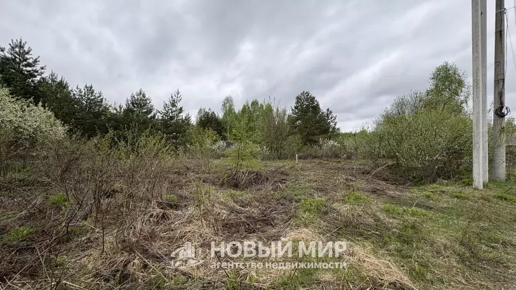 Участок в Нижегородская область, Бор Автомобилист СНТ, 84 (5.35 сот.) - Фото 1