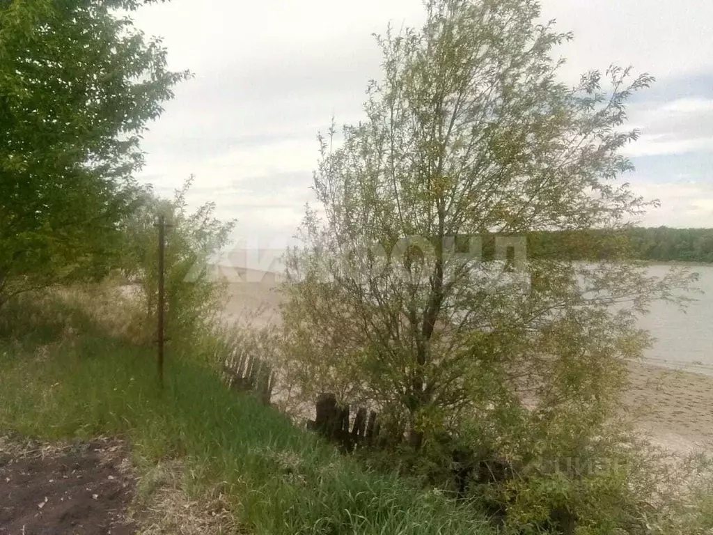 Участок в Новосибирская область, Ордынский район, д. Милованово ... - Фото 2