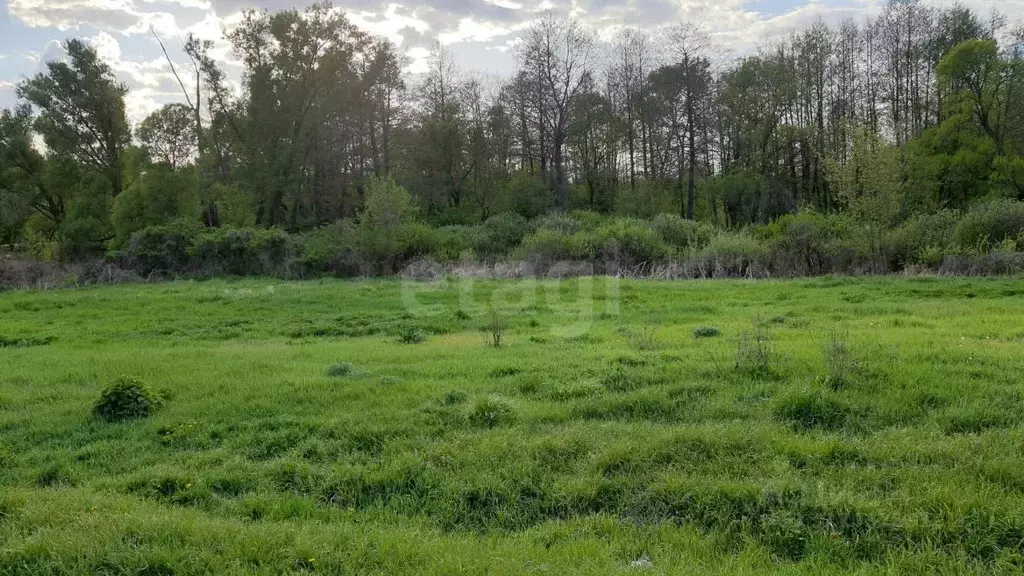 Участок в Белгородская область, Старооскольский городской округ, с. ... - Фото 1