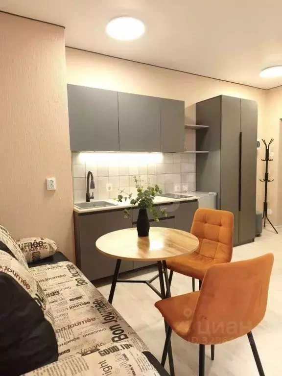 Студия Свердловская область, Екатеринбург ул. Крауля, 105/3 (27.8 м) - Фото 1