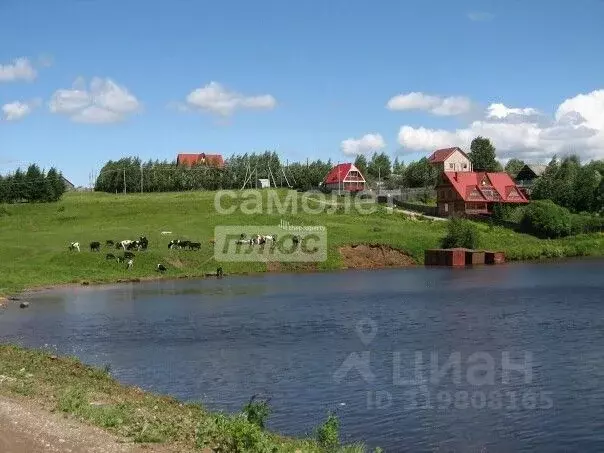 Участок в Пермский край, Пермский район, д. Заозерье (Усть-Качкинское ... - Фото 0