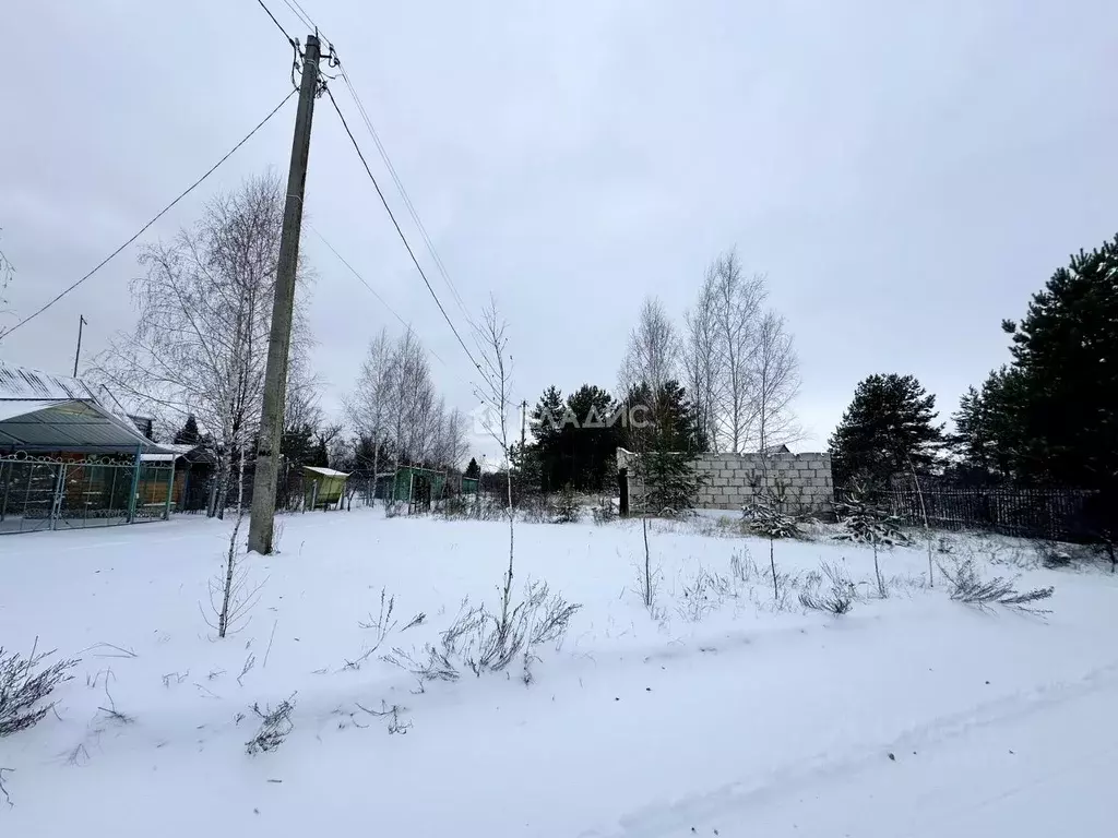 Участок в Воронежская область, Рамонский район, с. Новоживотинное ул. ... - Фото 2