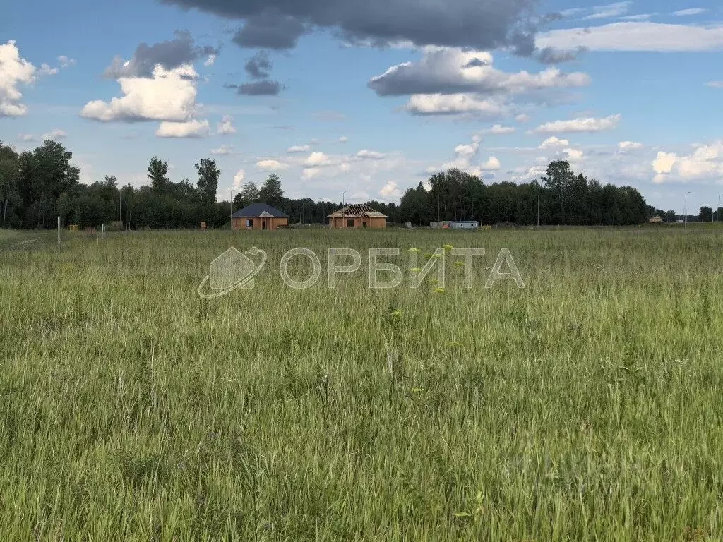 Участок в Тюменская область, Тюменский район, Новокаменский кп  (10.0 ... - Фото 0