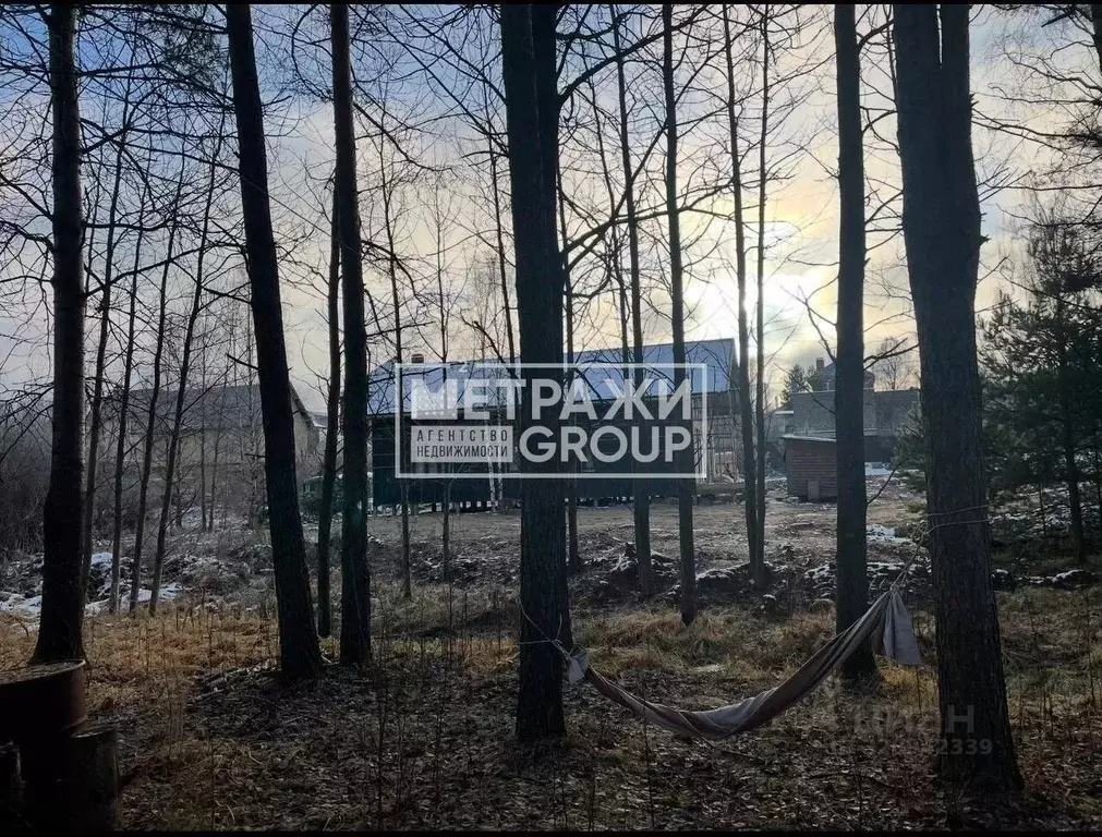 Участок в Московская область, Щелково городской округ, пос. Литвиново  ... - Фото 1