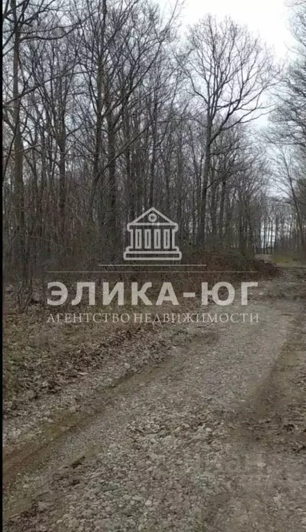 Участок в Краснодарский край, Туапсинский муниципальный округ, ... - Фото 0