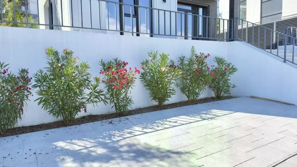 Дом в Краснодарский край, Сочи городской округ, с. Молдовка ул. ... - Фото 2