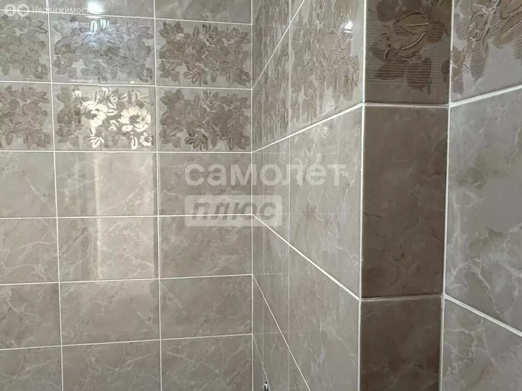 Квартира-студия: село Засечное, Центральная улица, 4 (22.8 м) - Фото 2