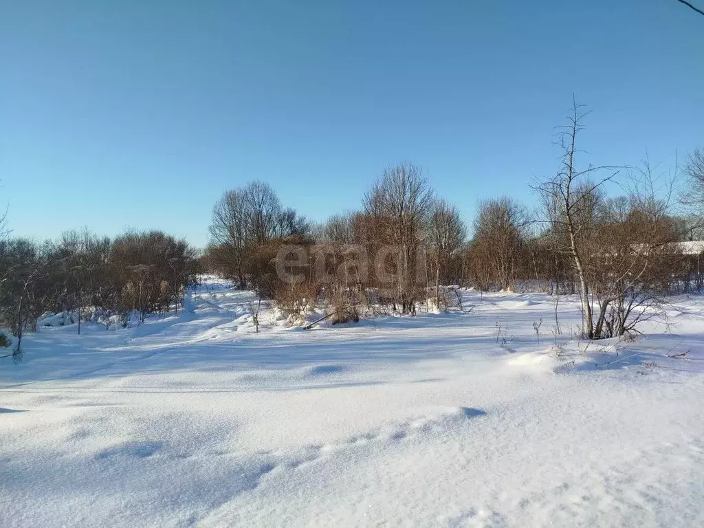 Участок в Псковская область, Остров ул. Энтузиастов (1440.0 сот.) - Фото 1