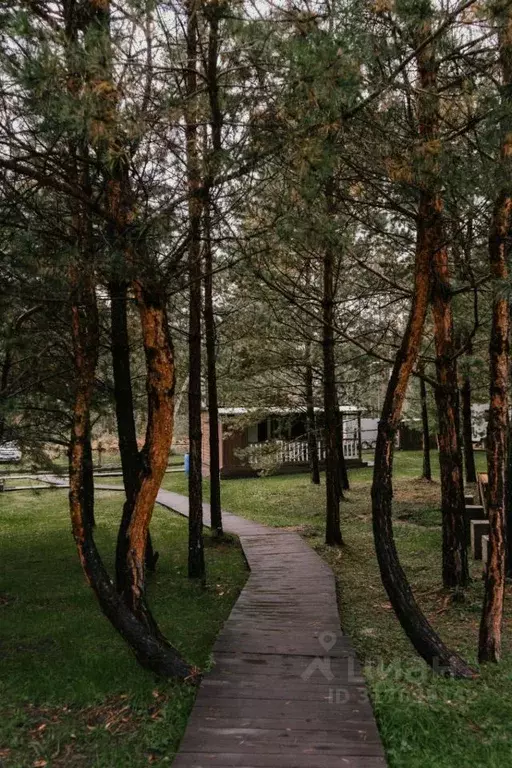 Дом в Алтай, Чемальский район, пос. Усть-Сема ул. Ильи Захаровича ... - Фото 0