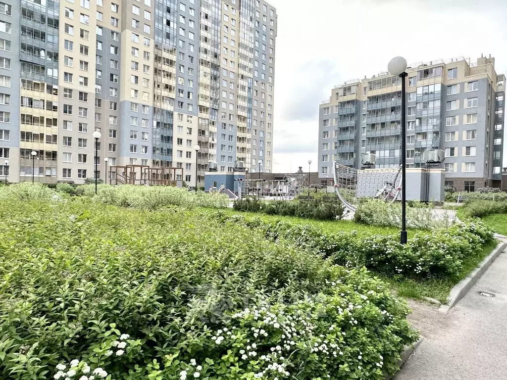 1-к кв. Санкт-Петербург аллея Арцеуловская, 21 (35.0 м) - Фото 1