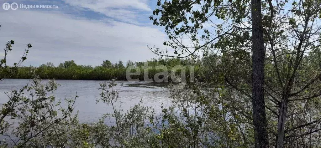 Участок в Тюменский район, село Борки (20 м) - Фото 0