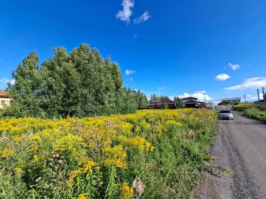 Участок в Тульская область, Тула городской округ, д. Гостеевка ул. ... - Фото 1