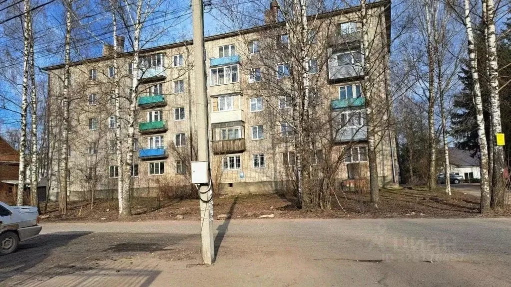 3-к кв. Псковская область, Опочка Красноармейская ул., 8 (54.5 м) - Фото 2