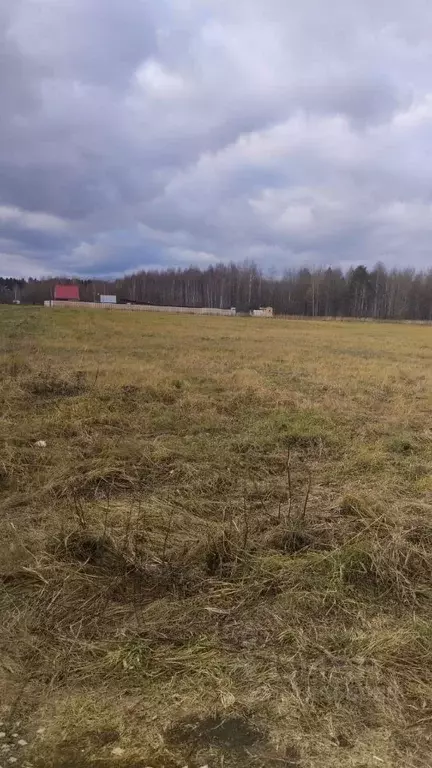 Участок в Владимирская область, Александровский район, Каринское ... - Фото 0