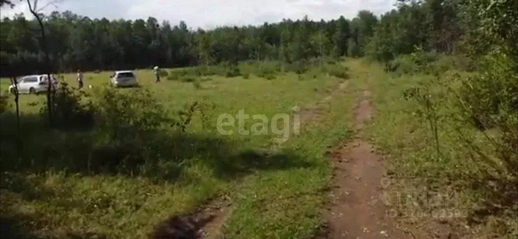 Участок в Забайкальский край, Читинский район, с. Преображенка ... - Фото 1