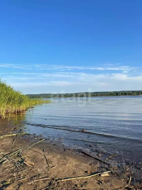 Участок в Татарстан, Зеленодольский район, Васильево муниципальное ... - Фото 0