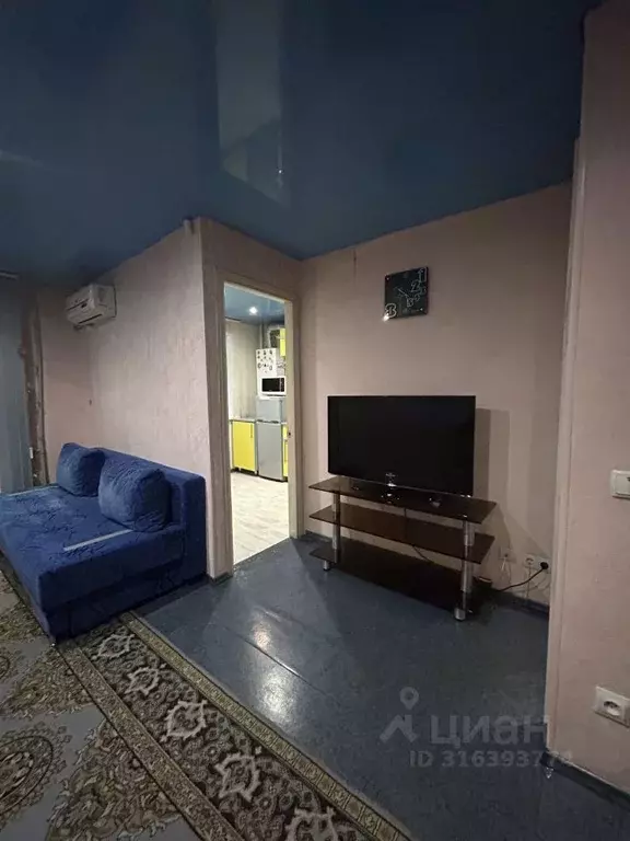 1-к кв. Саратовская область, Саратов просп. Энтузиастов, 33 (34.4 м) - Фото 1