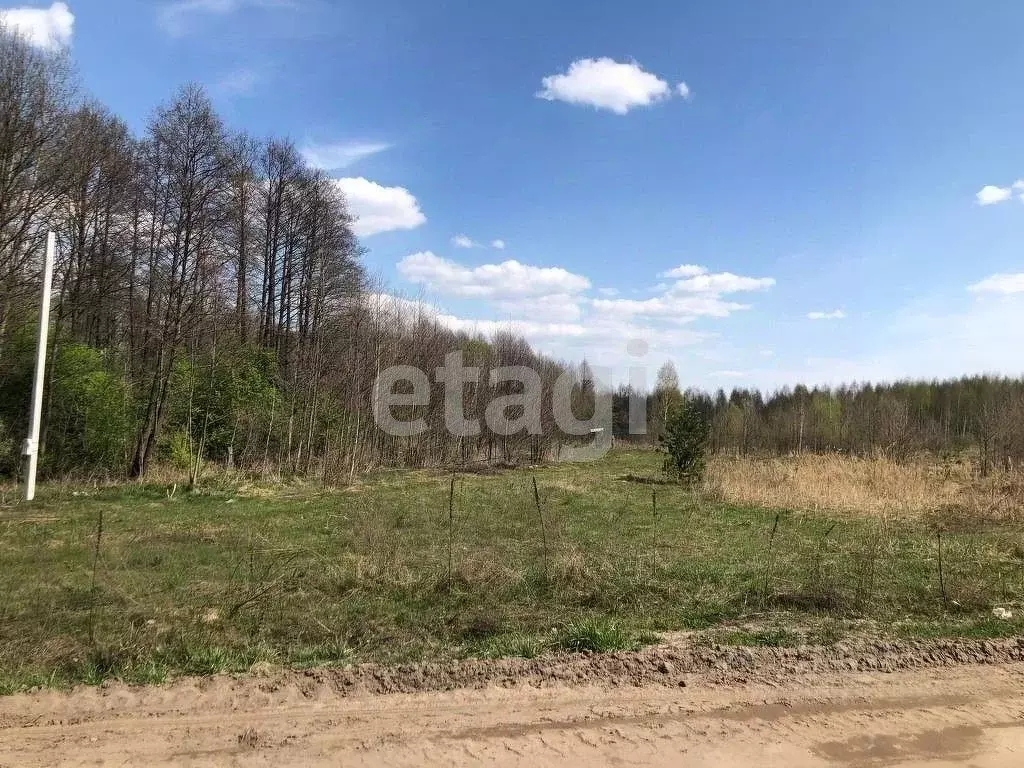 Участок в Брянская область, Брянский район, Нетьинское с/пос, д. ... - Фото 1