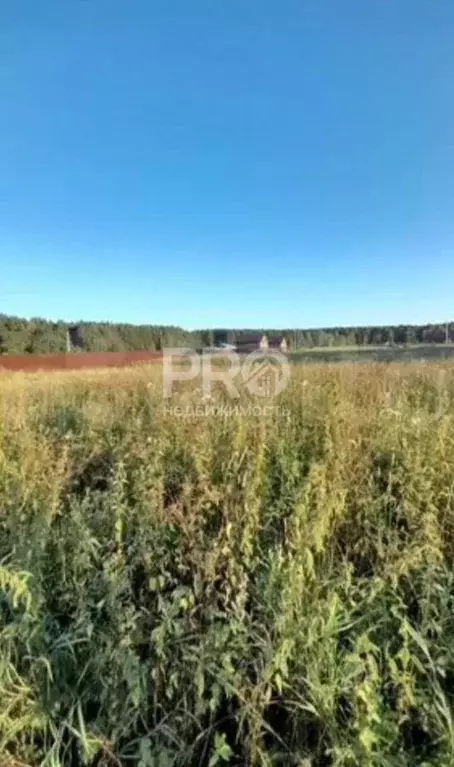 Участок в Ярославская область, Ярославский муниципальный округ, д. ... - Фото 2