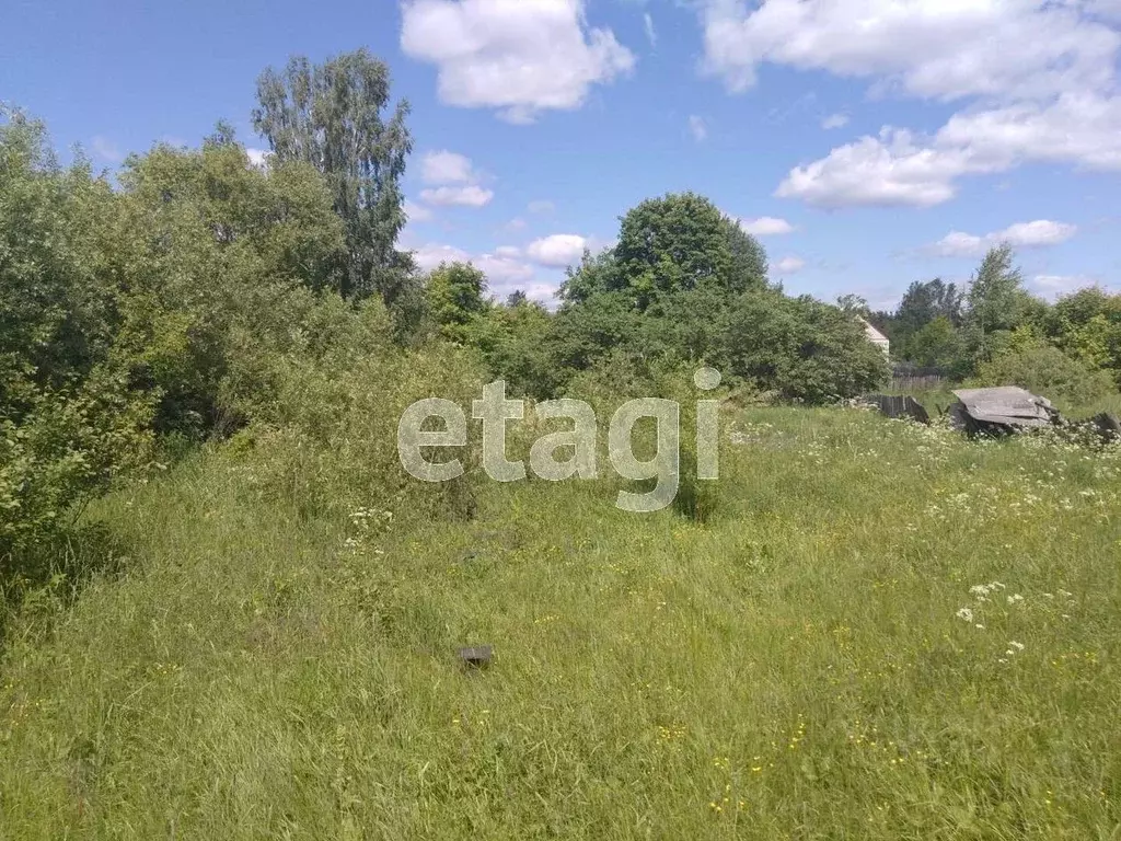 Участок в Владимирская область, Селивановский муниципальный округ, ... - Фото 1