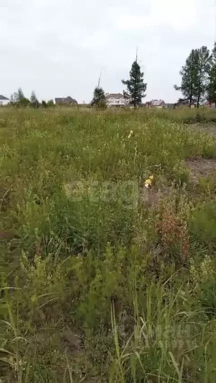 Участок в Мордовия, Лямбирский район, Берсеневское с/пос, Дружба ... - Фото 0