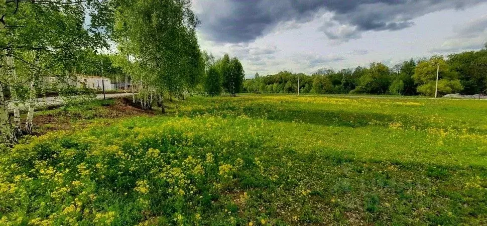 Участок в Московская область, Чехов городской округ, д. Крюково  (9.0 ... - Фото 1