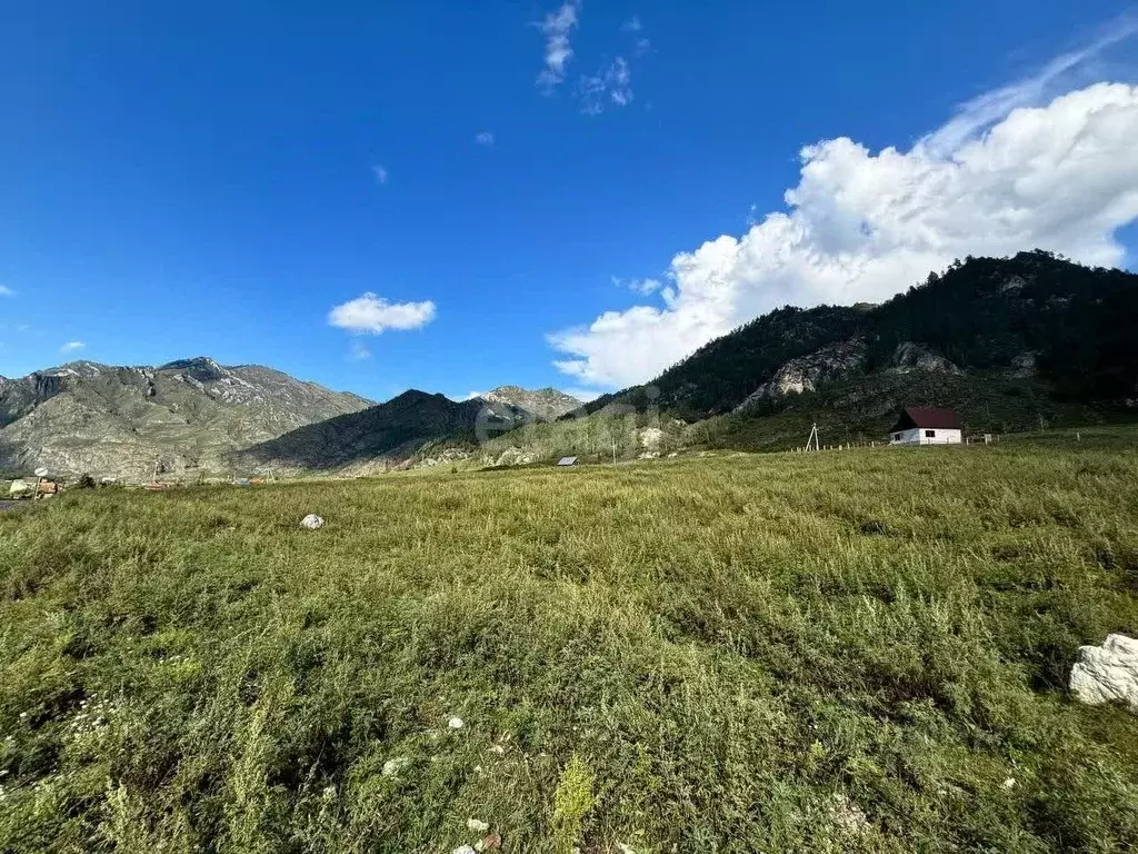 Участок в Алтай, Чемальский район, с. Еланда  (9.0 сот.) - Фото 1
