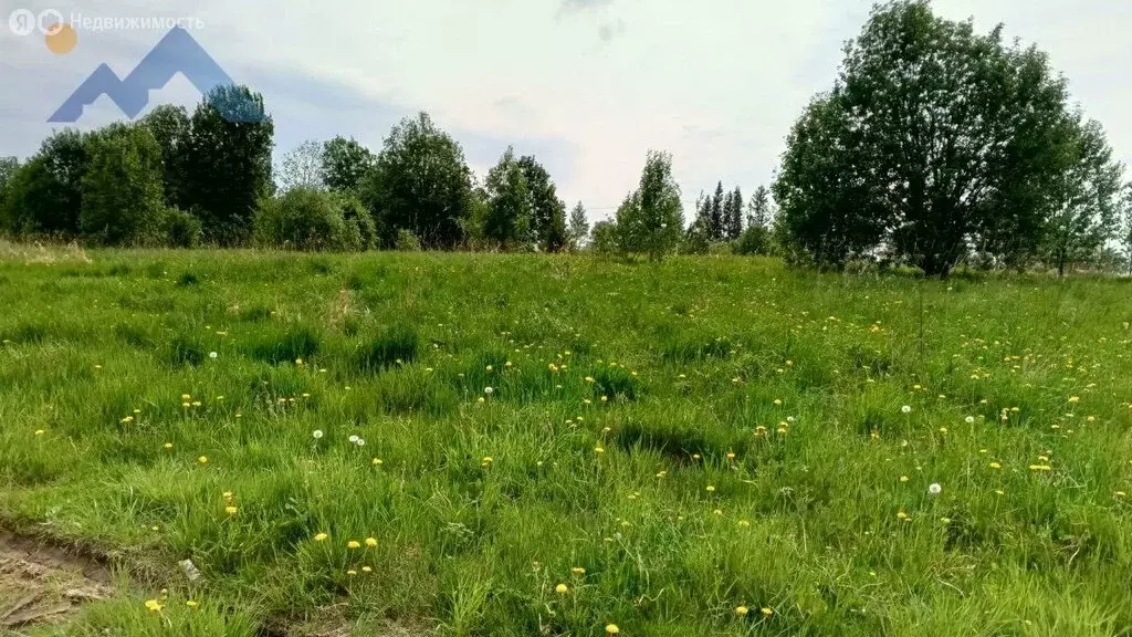 Участок в Вологодский муниципальный округ, посёлок Огарково (18 м) - Фото 1
