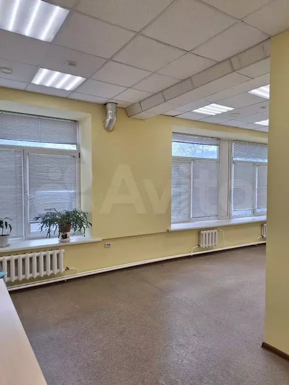 Свободного назначения, 36 м - Фото 1
