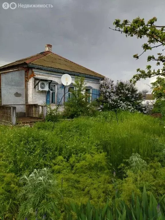 Дом в станица Нижний Чир, Зелёная улица (34 м) - Фото 1