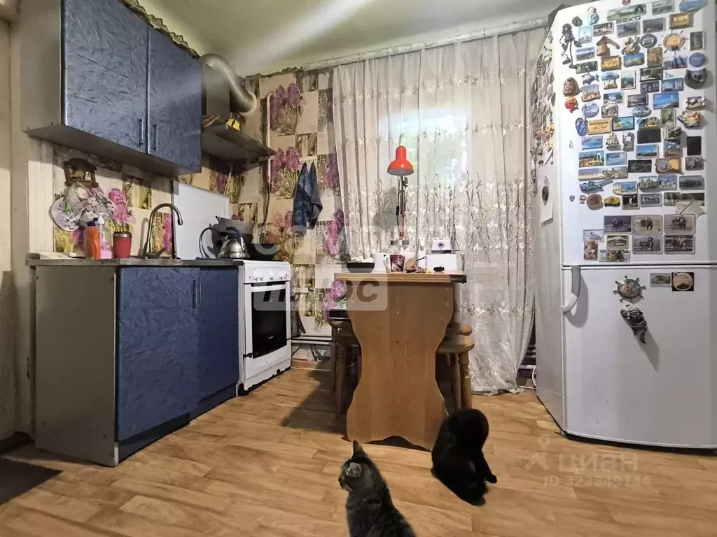 Дом в Краснодарский край, Апшеронск Комсомольский пер. (55 м) - Фото 1